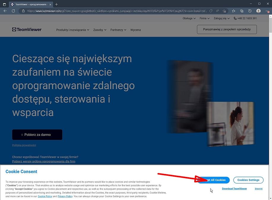 serwis zdalny